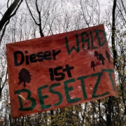 Transpi zwischen Bäumen aufgespannt mit der Aufschrift: "Dieser Wald ist besetzt"
