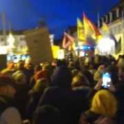 Menschenmenge mit Fahnen und Schilder von hinten.