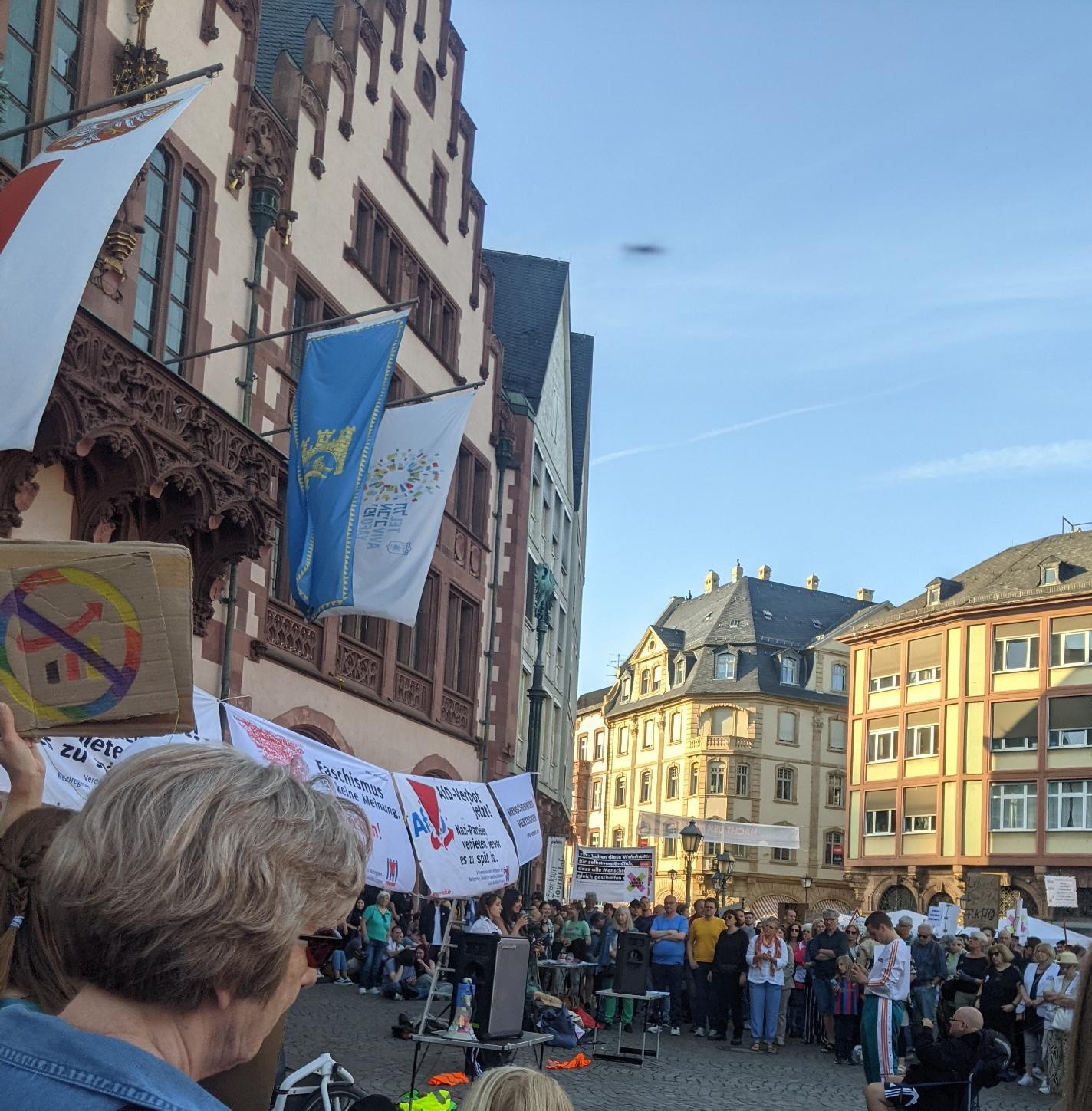 Dezentraler Aktionstag zu AfD-Verbot jetzt!