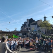Bild über den Demozug auf dem City-Ring